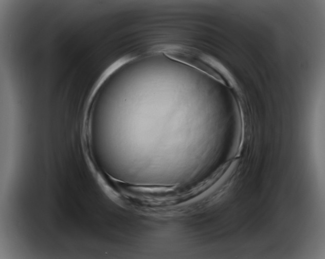 X0000083051050200703022106