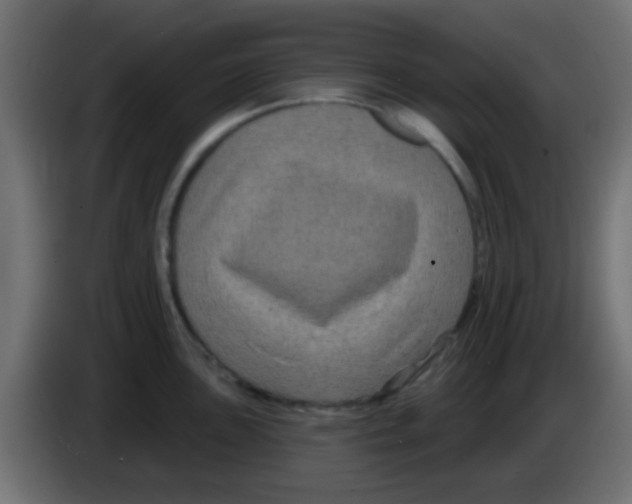 X0000083051051200703022106