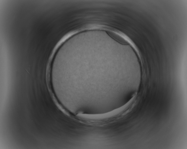 X0000083051053200703022106