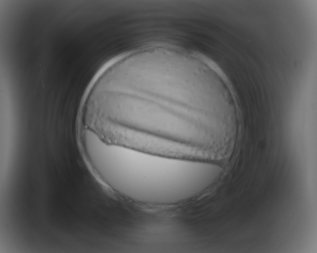 X0000083051056200703022106