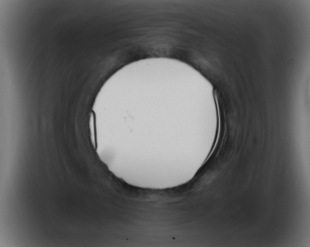 X0000083051057200703022106