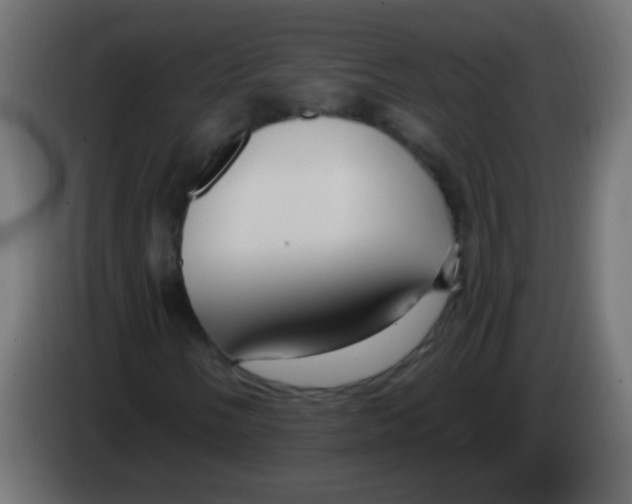 X0000083051058200703022106