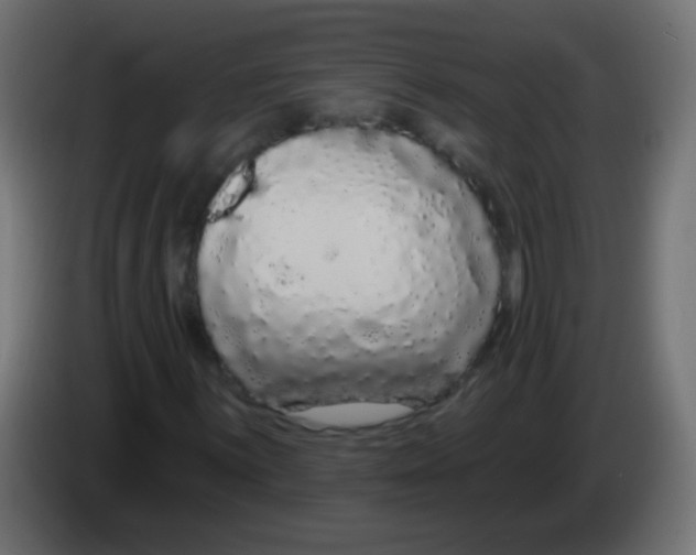 X0000083051059200703022106