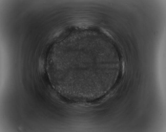 X0000083051060200703022106