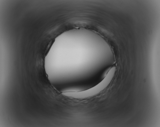 X0000083051061200703022106