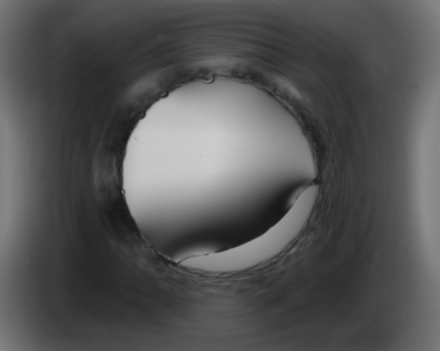 X0000083051062200703022106