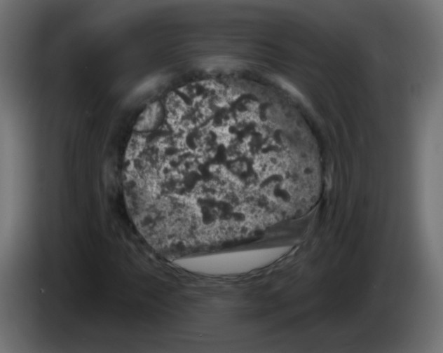 X0000083051063200703022106