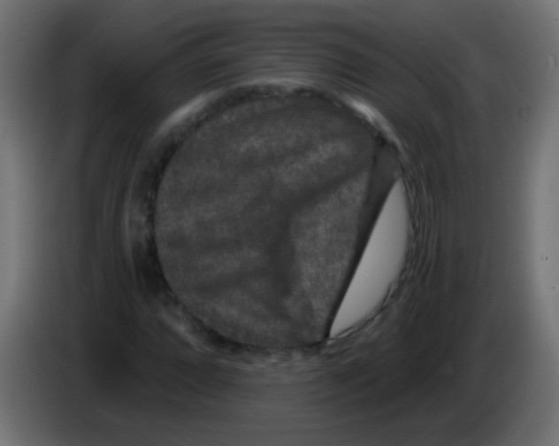 X0000083051064200703022106