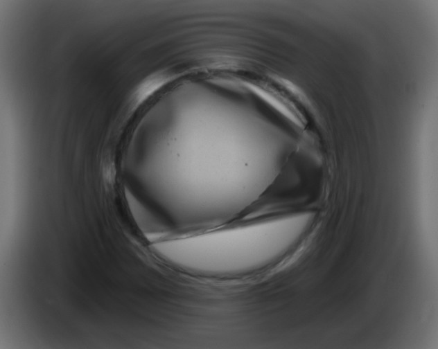 X0000083051065200703022105