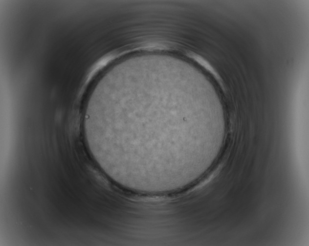 X0000083051067200703022105