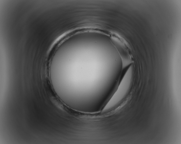 X0000083051069200703022105