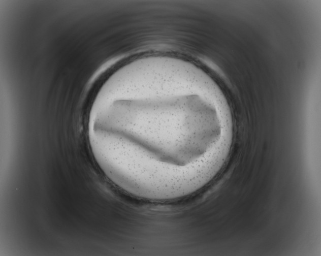 X0000083051070200703022105