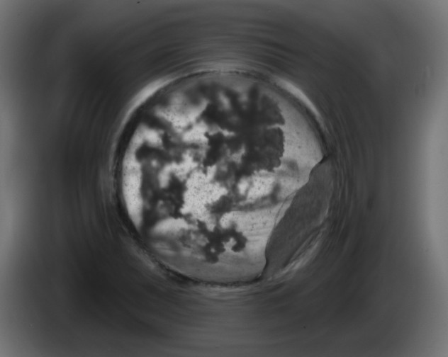 X0000083051071200703022105