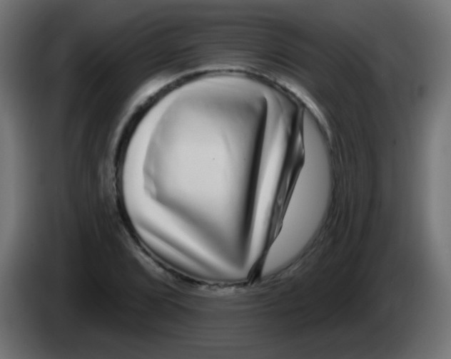 X0000083051072200703022105