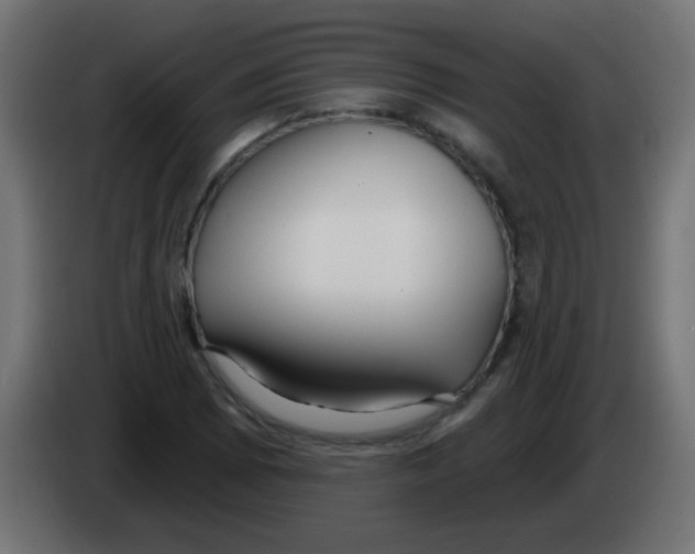 X0000083051073200703022105