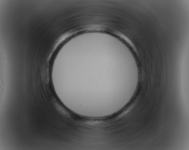 X0000083051075200703022105