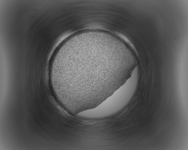 X0000083051076200703022105