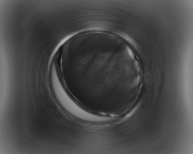 X0000083051077200703022105