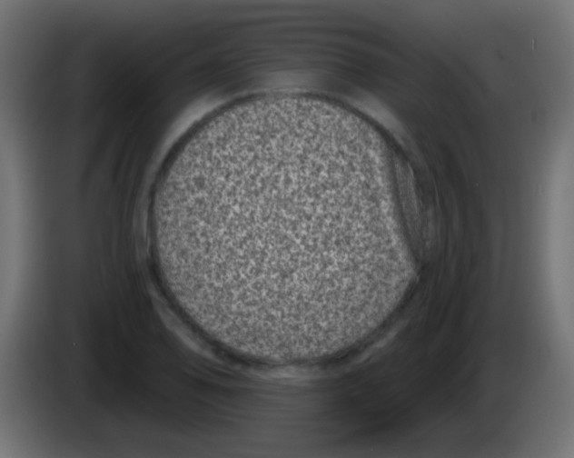 X0000083051078200703022105