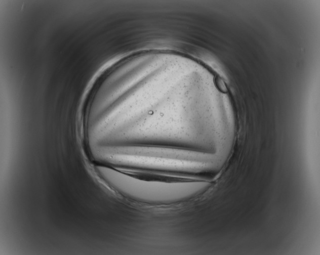 X0000083051080200703022105