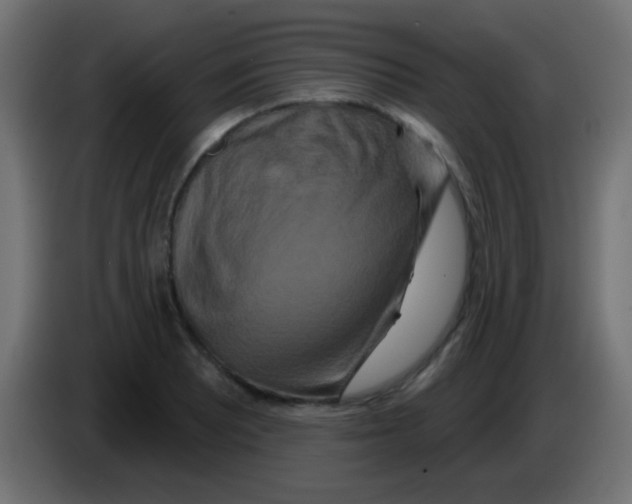 X0000083051081200703022105