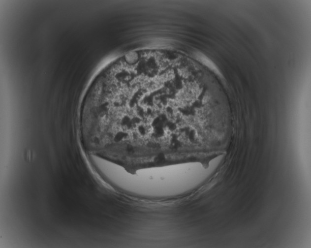 X0000083051087200703022105