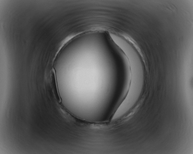 X0000083051089200703022105