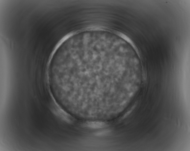 X0000083051090200703022105