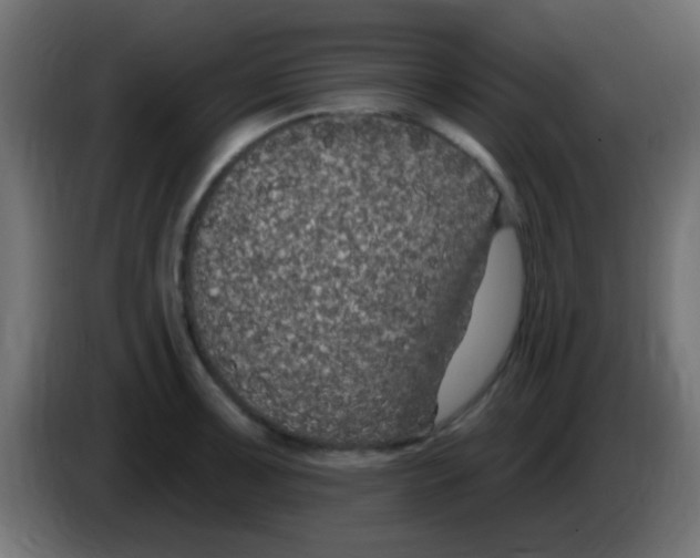 X0000083051091200703022105