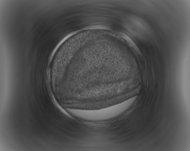 X0000083051092200703022105