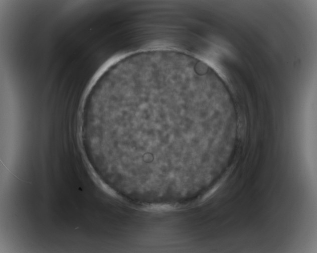 X0000083051094200703022105