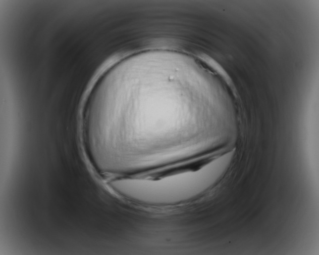 X0000083051096200703022105