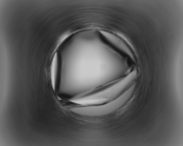 X0000083051097200703022105