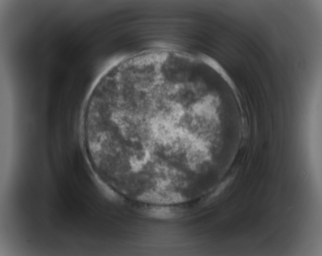 X0000083051098200703022105