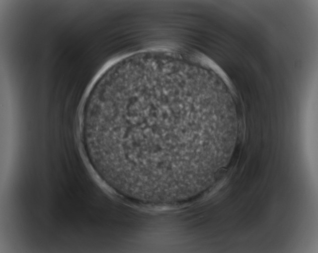 X0000083051099200703022105