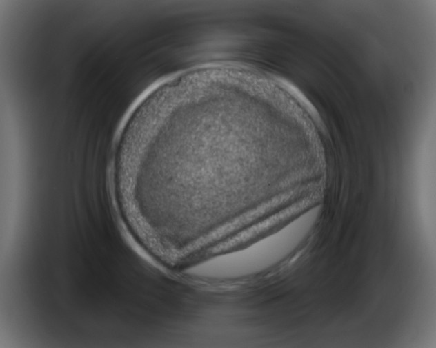 X0000083051100200703022105