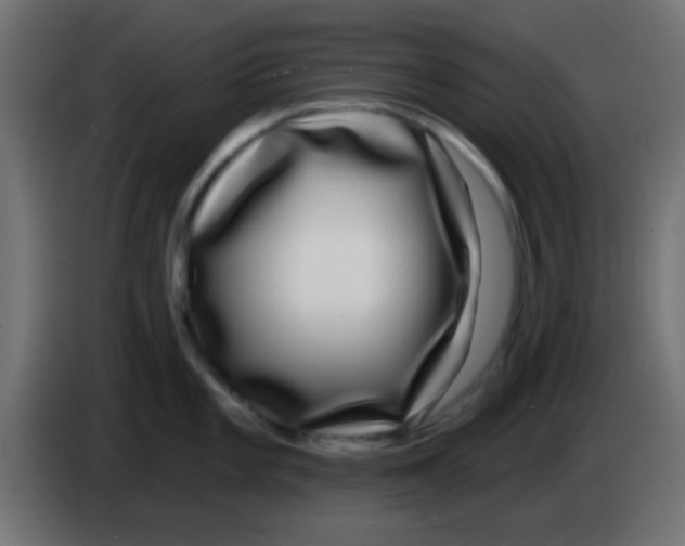 X0000083051101200703022105