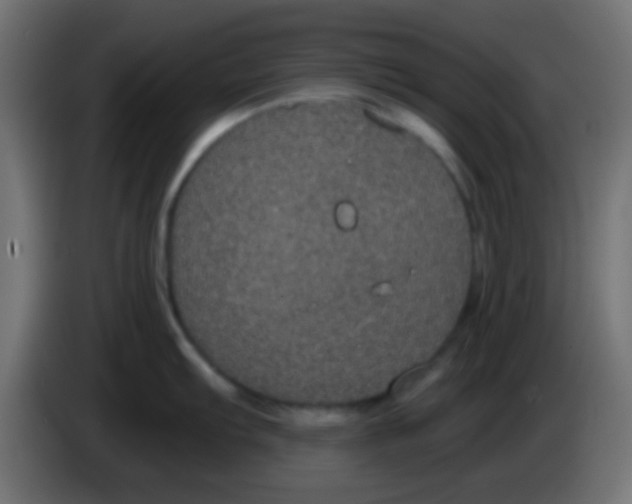 X0000083051103200703022105