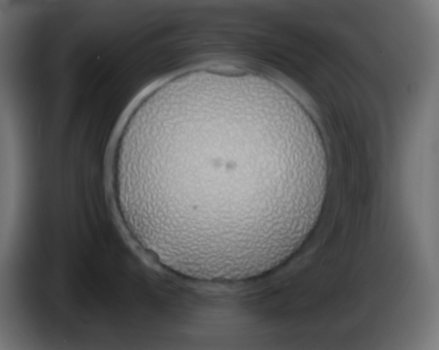 X0000083051104200703022105