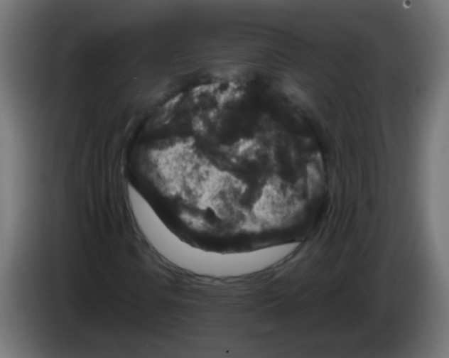 X0000083051106200703022104