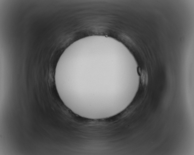 X0000083051107200703022104