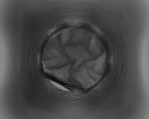 X0000083051108200703022104