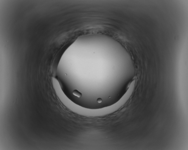 X0000083051109200703022104