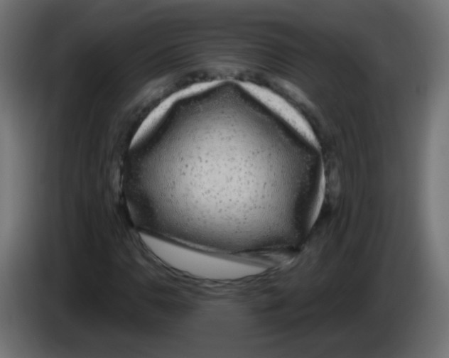 X0000083051110200703022104