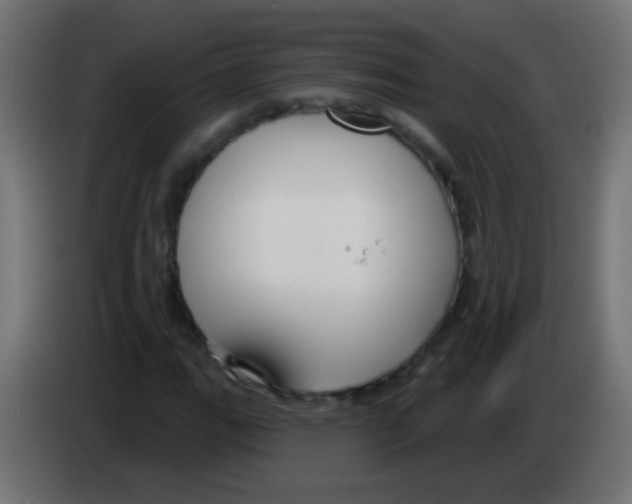 X0000083051111200703022104