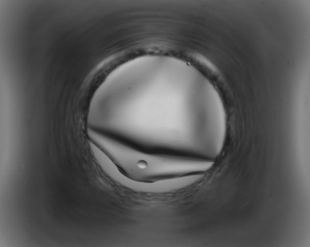 X0000083051112200703022104