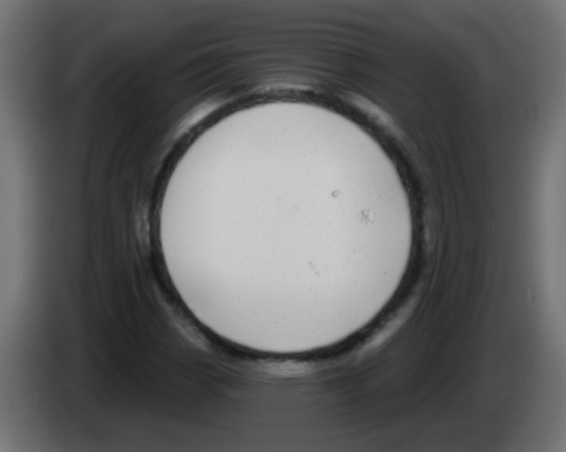 X0000083051113200703022104