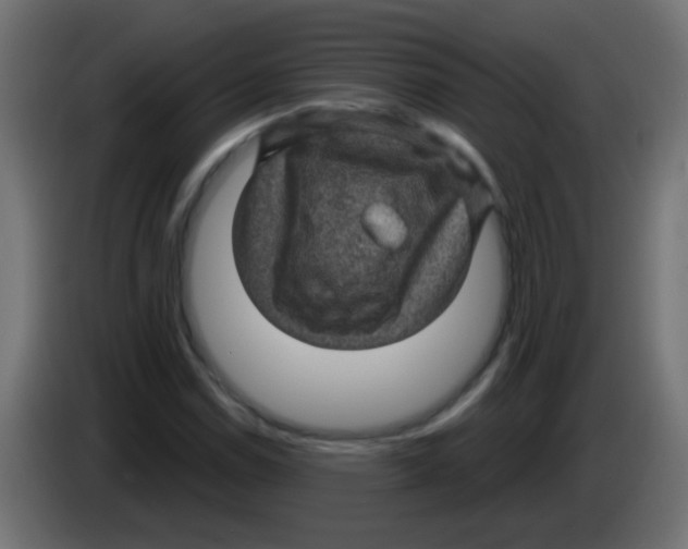 X0000083051114200703022104