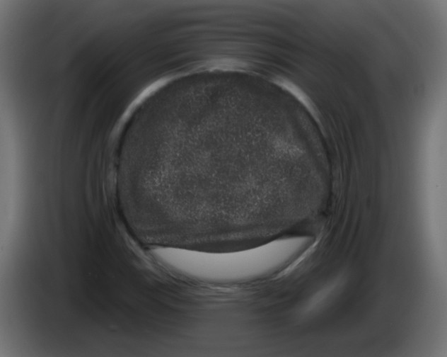 X0000083051115200703022104