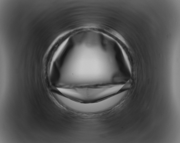 X0000083051116200703022104